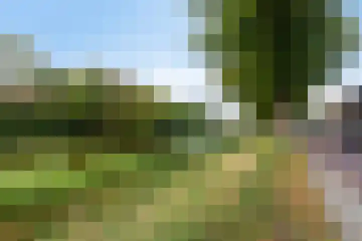 Koningin Julianastraat 21 Middelburg thumbnail 31