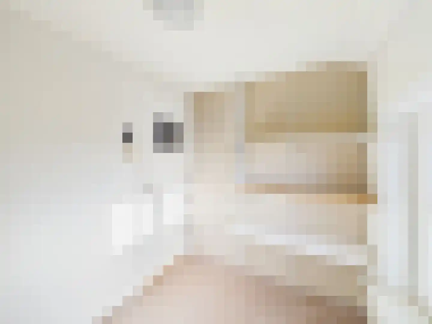 Koningin Julianastraat 22 Hoofdplaat thumbnail 25