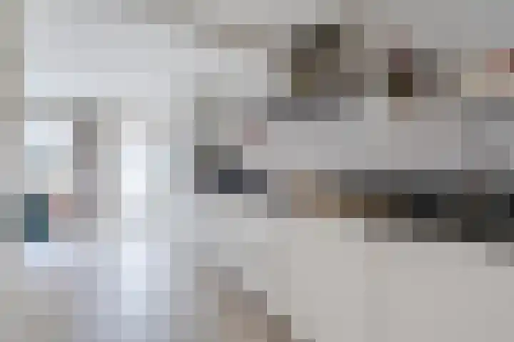 Koningin Julianastraat 24 Bergeijk thumbnail 12