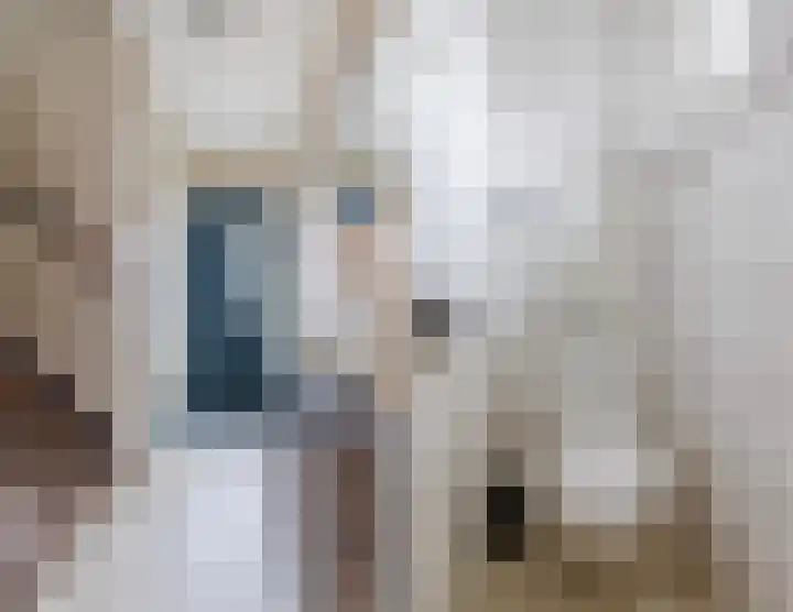 Koningin Julianastraat 24 Bergeijk thumbnail 15