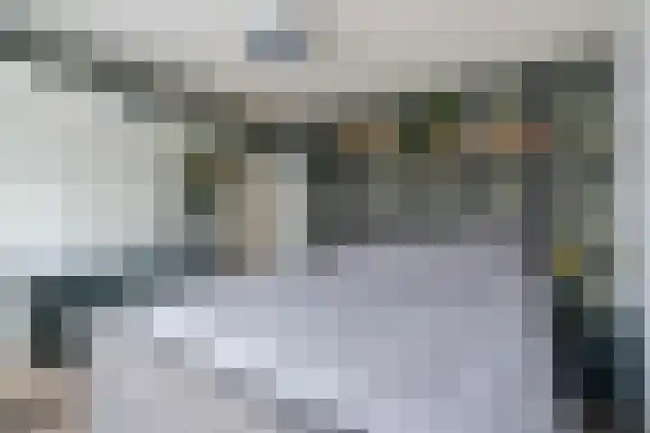 Koningin Julianastraat 24 Bergeijk thumbnail 16