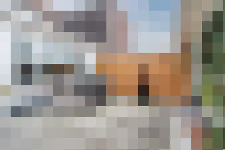 Koningin Julianastraat 24 Bergeijk thumbnail 24
