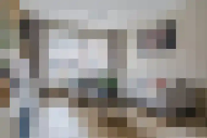 Koningin Julianastraat 24 Bergeijk thumbnail 5