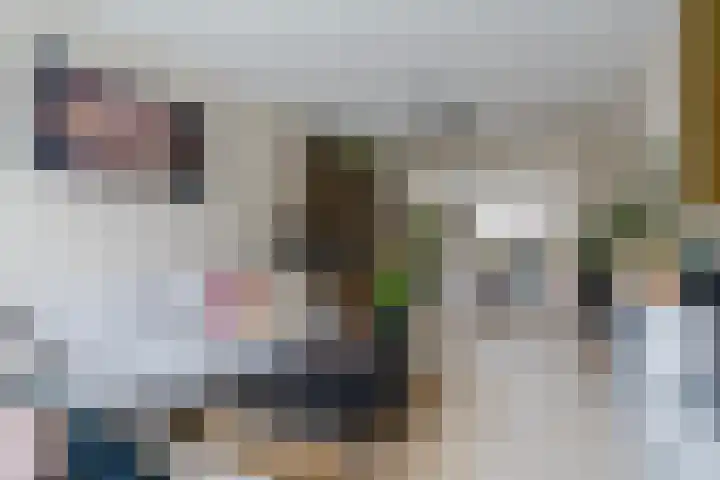 Koningin Julianastraat 24 Bergeijk thumbnail 6