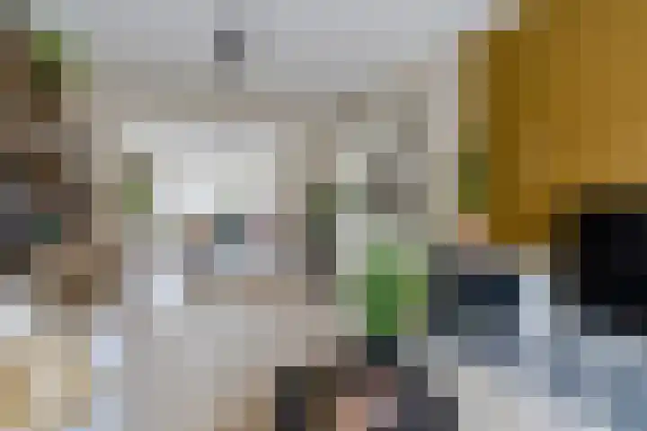 Koningin Julianastraat 24 Bergeijk thumbnail 7