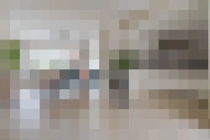 Koningin Julianastraat 24 Bergeijk thumbnail 8