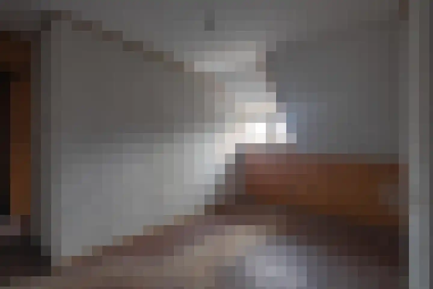 Koningin Julianastraat 24 Bunde thumbnail 7