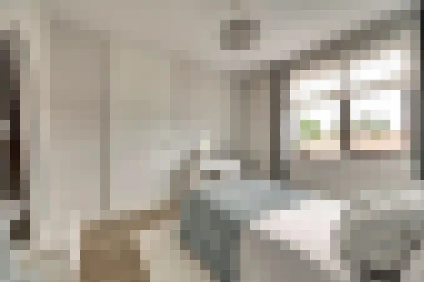 Koningin Julianastraat 24 h Schoonrewoerd thumbnail 19