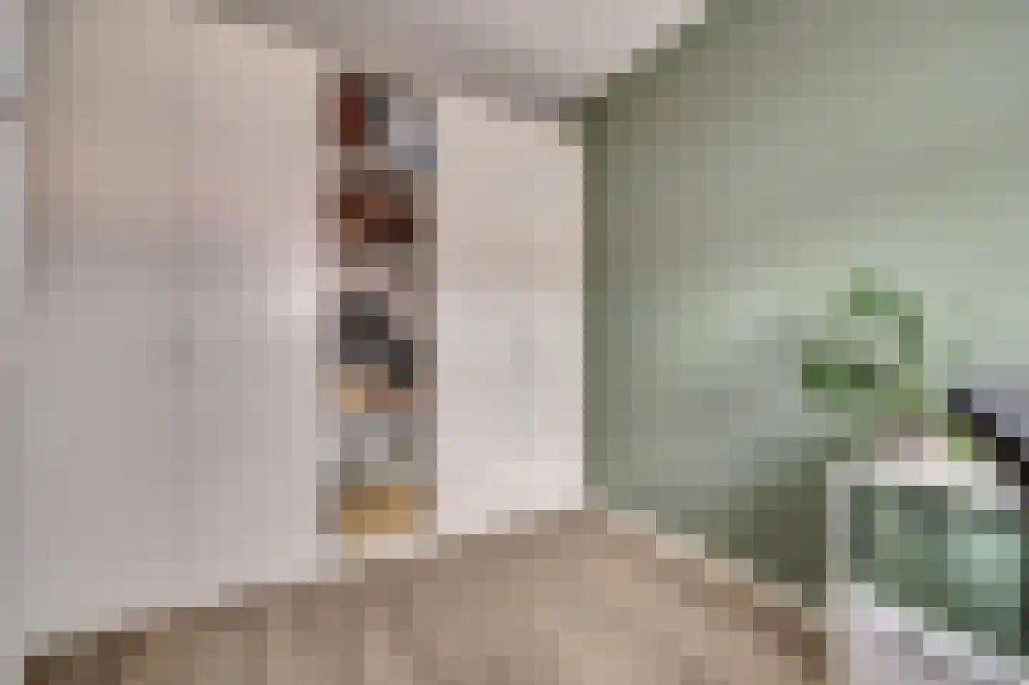 Koningin Julianastraat 24 h Schoonrewoerd thumbnail 24