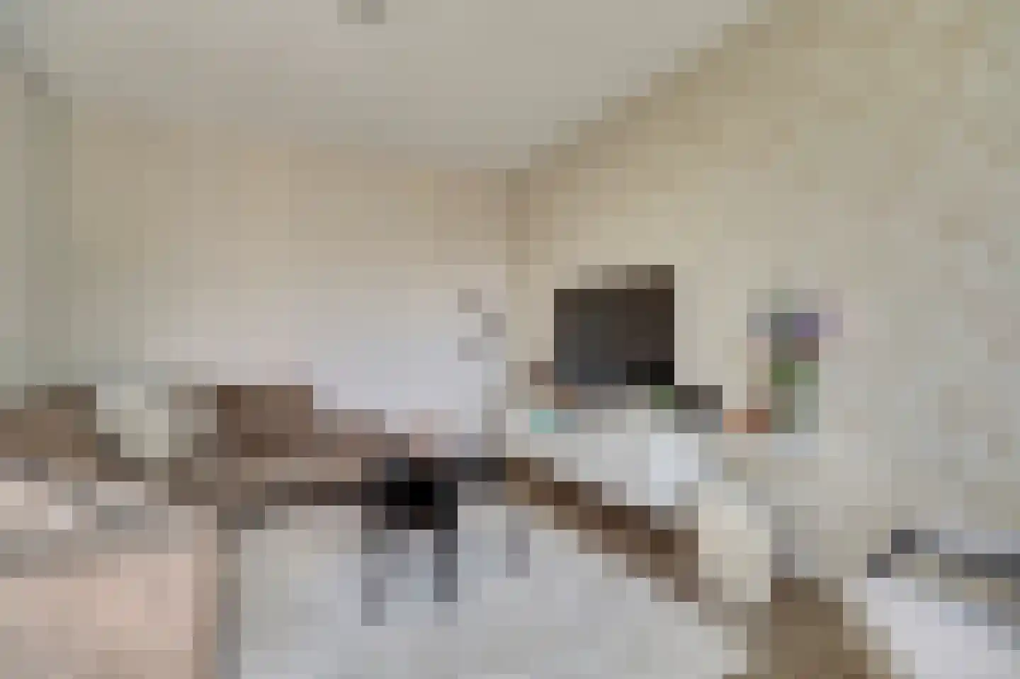 Koningin Julianastraat 24 h Schoonrewoerd thumbnail 6