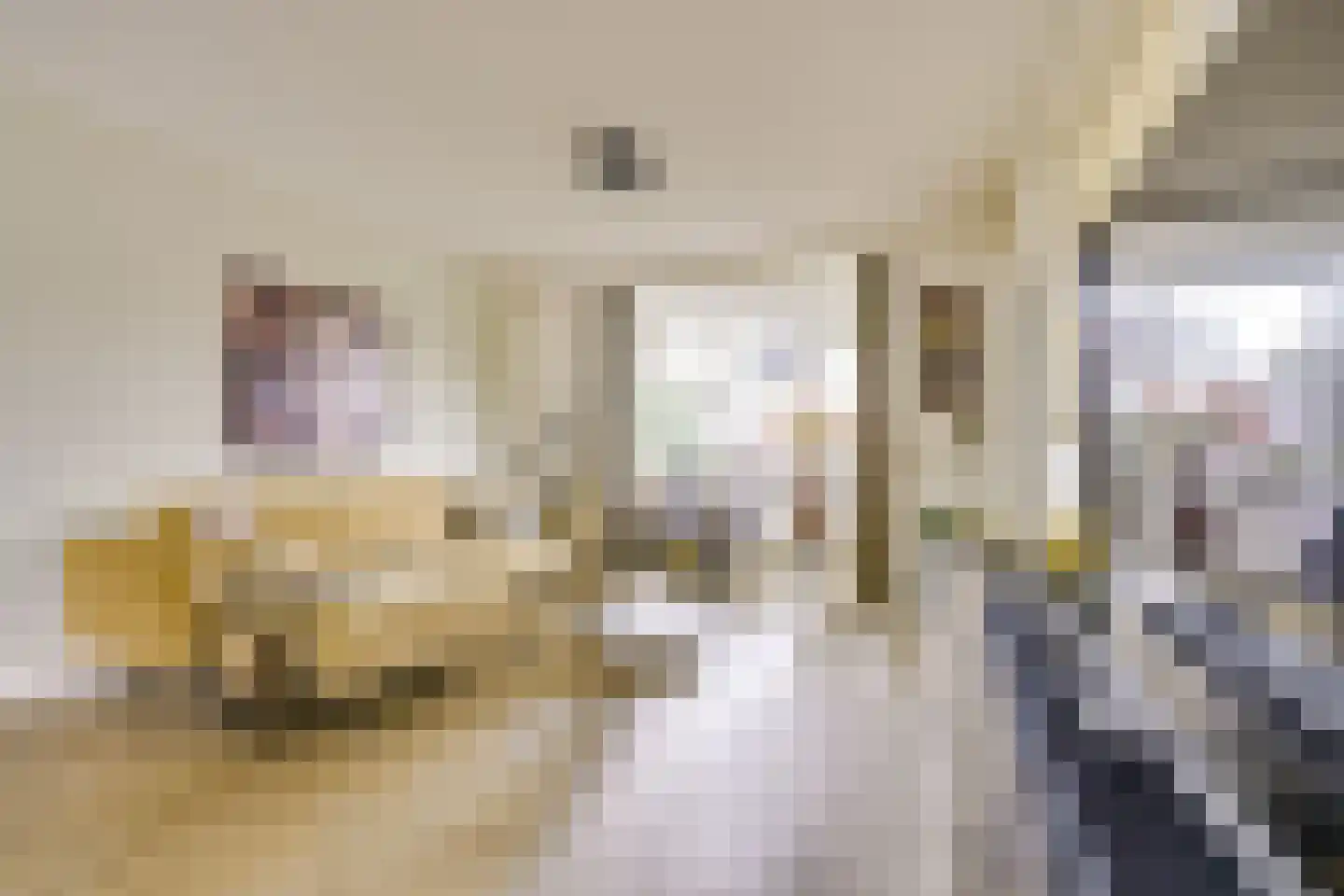Koningin Julianastraat 24 Houten thumbnail 10