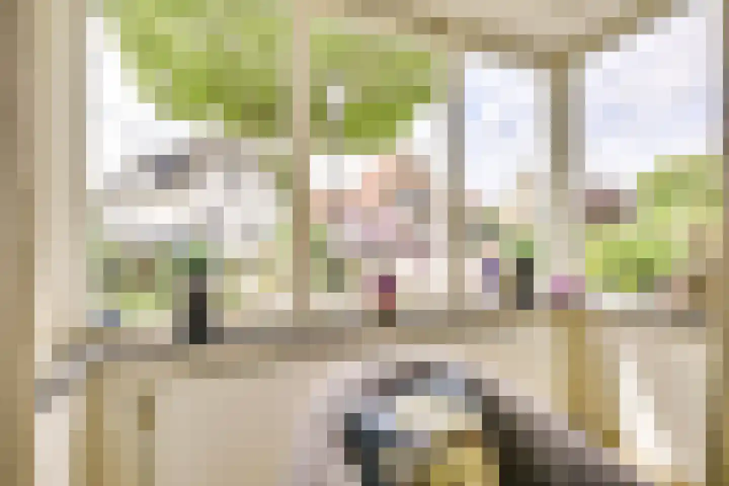 Koningin Julianastraat 24 Houten thumbnail 12