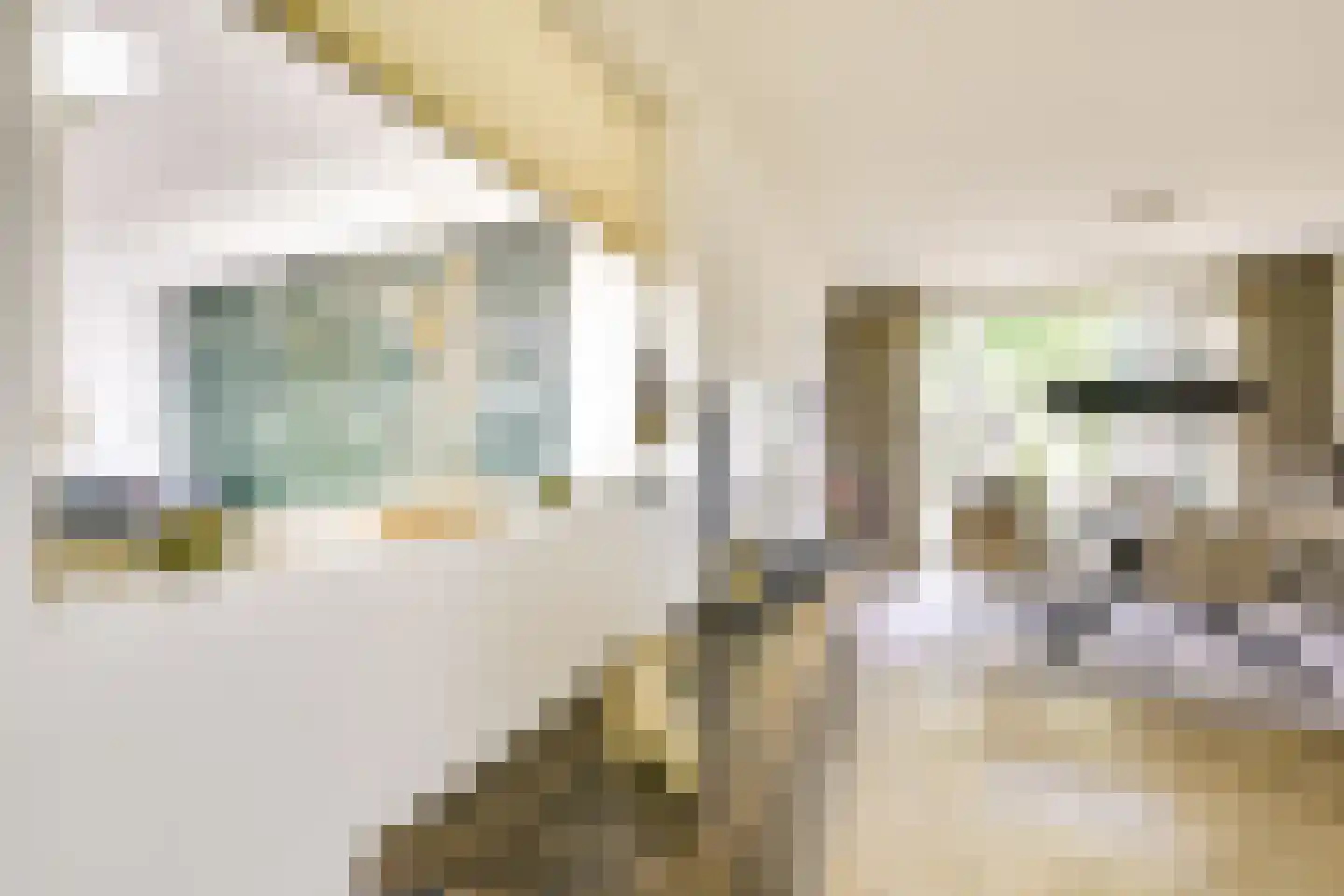 Koningin Julianastraat 24 Houten thumbnail 14