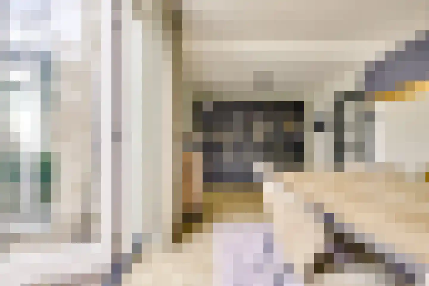 Koningin Julianastraat 24 Houten thumbnail 17
