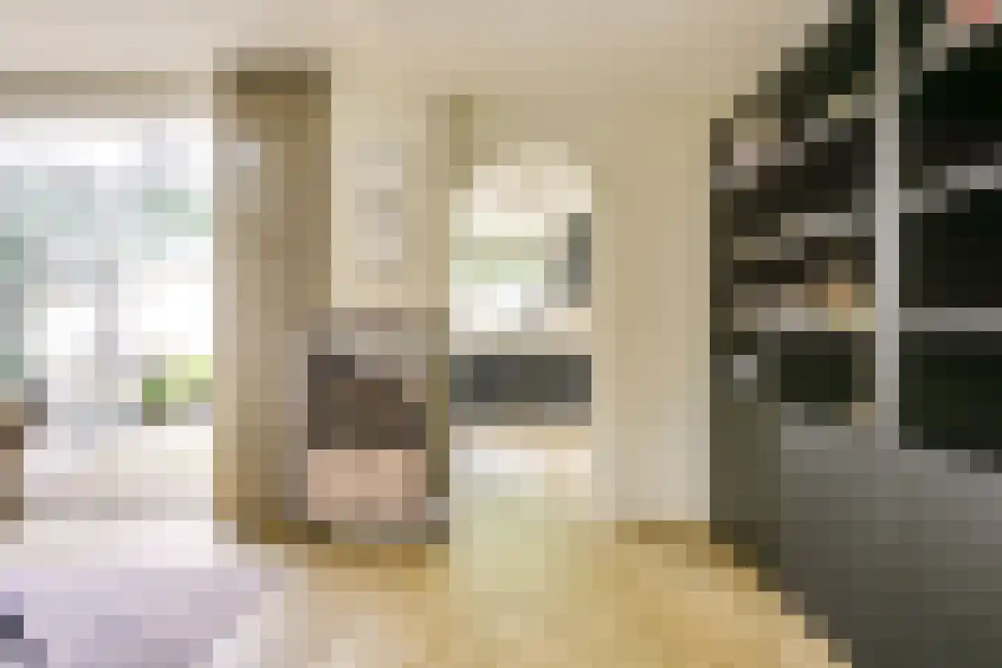Koningin Julianastraat 24 Houten thumbnail 18