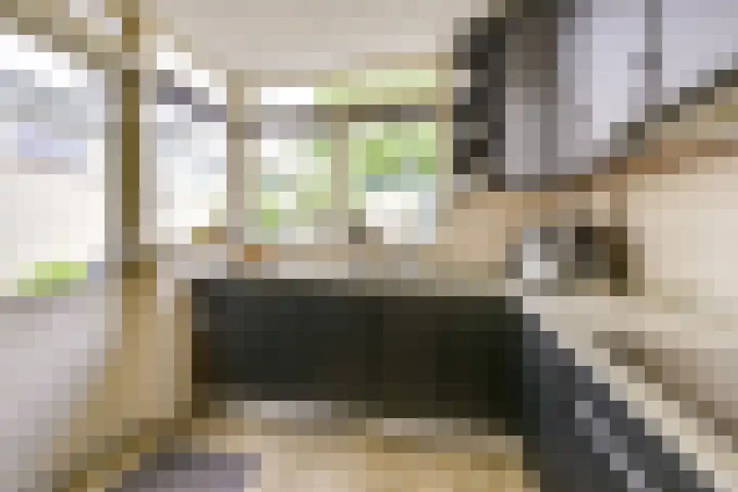 Koningin Julianastraat 24 Houten thumbnail 20