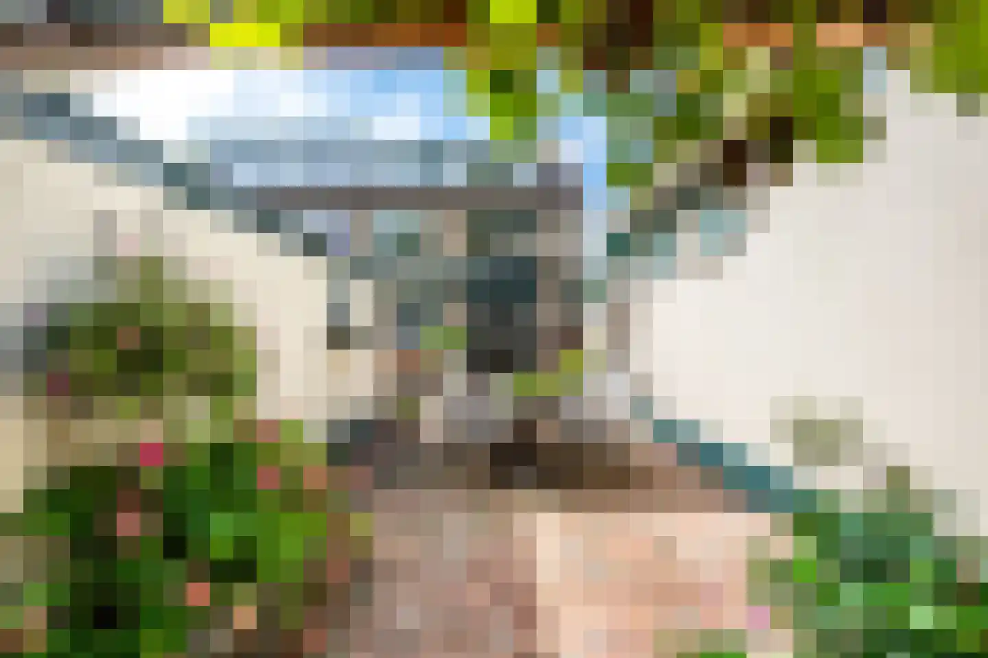 Koningin Julianastraat 24 Houten thumbnail 27