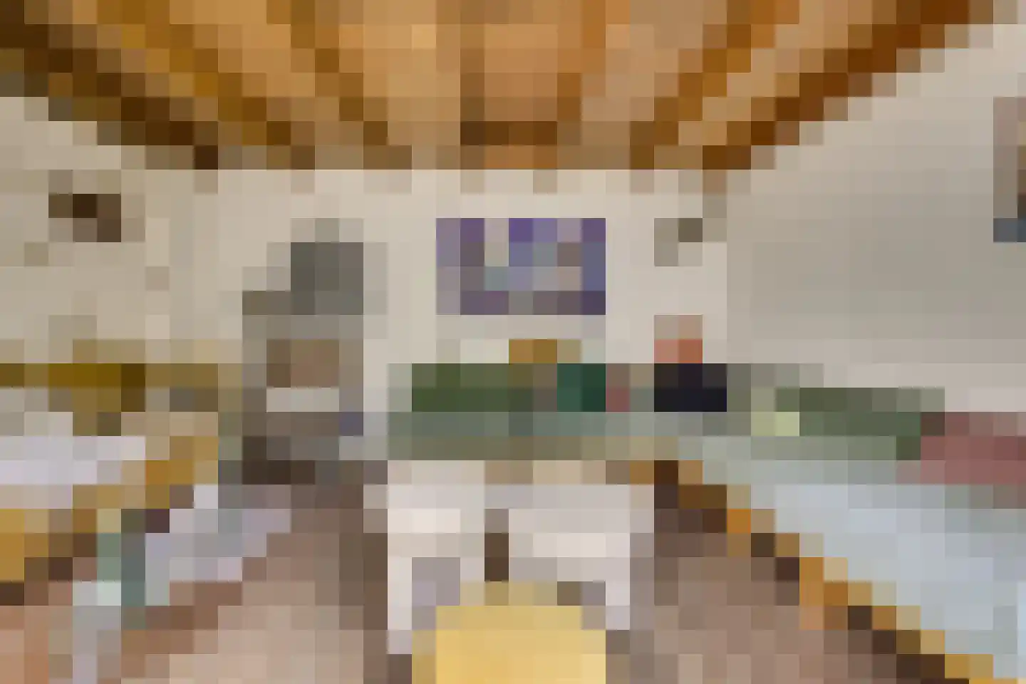 Koningin Julianastraat 24 Houten thumbnail 31