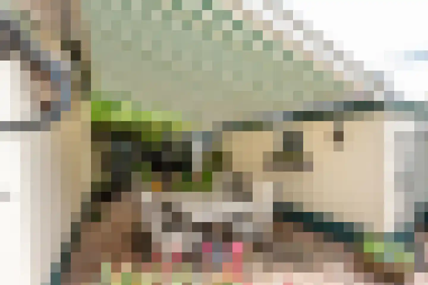 Koningin Julianastraat 24 Houten thumbnail 33