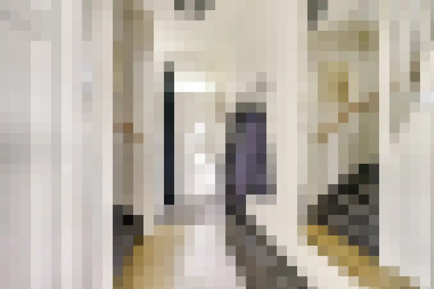 Koningin Julianastraat 24 Houten thumbnail 4