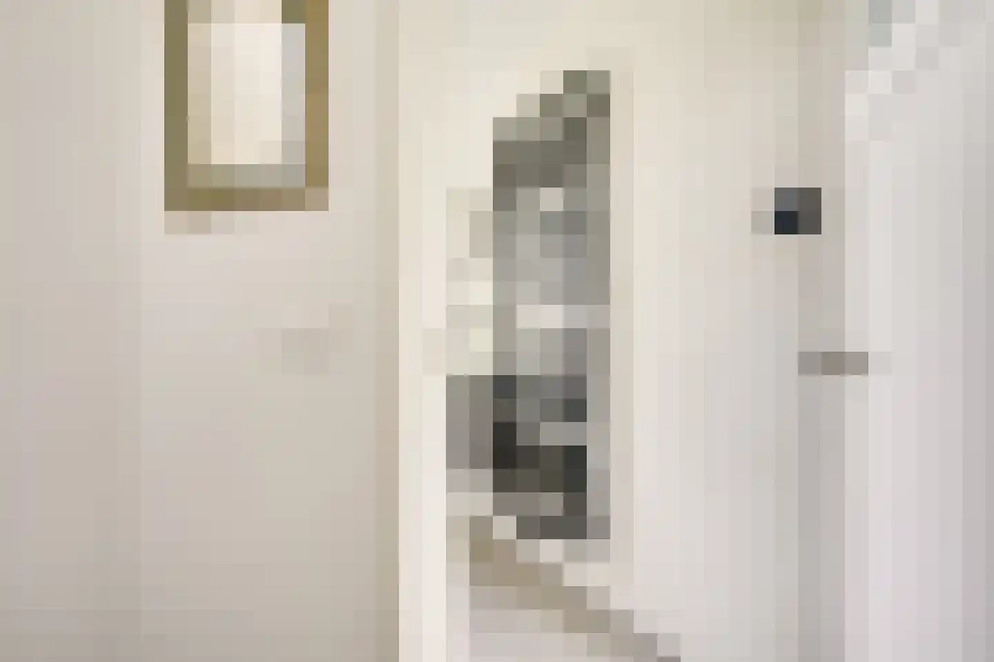 Koningin Julianastraat 24 Houten thumbnail 42