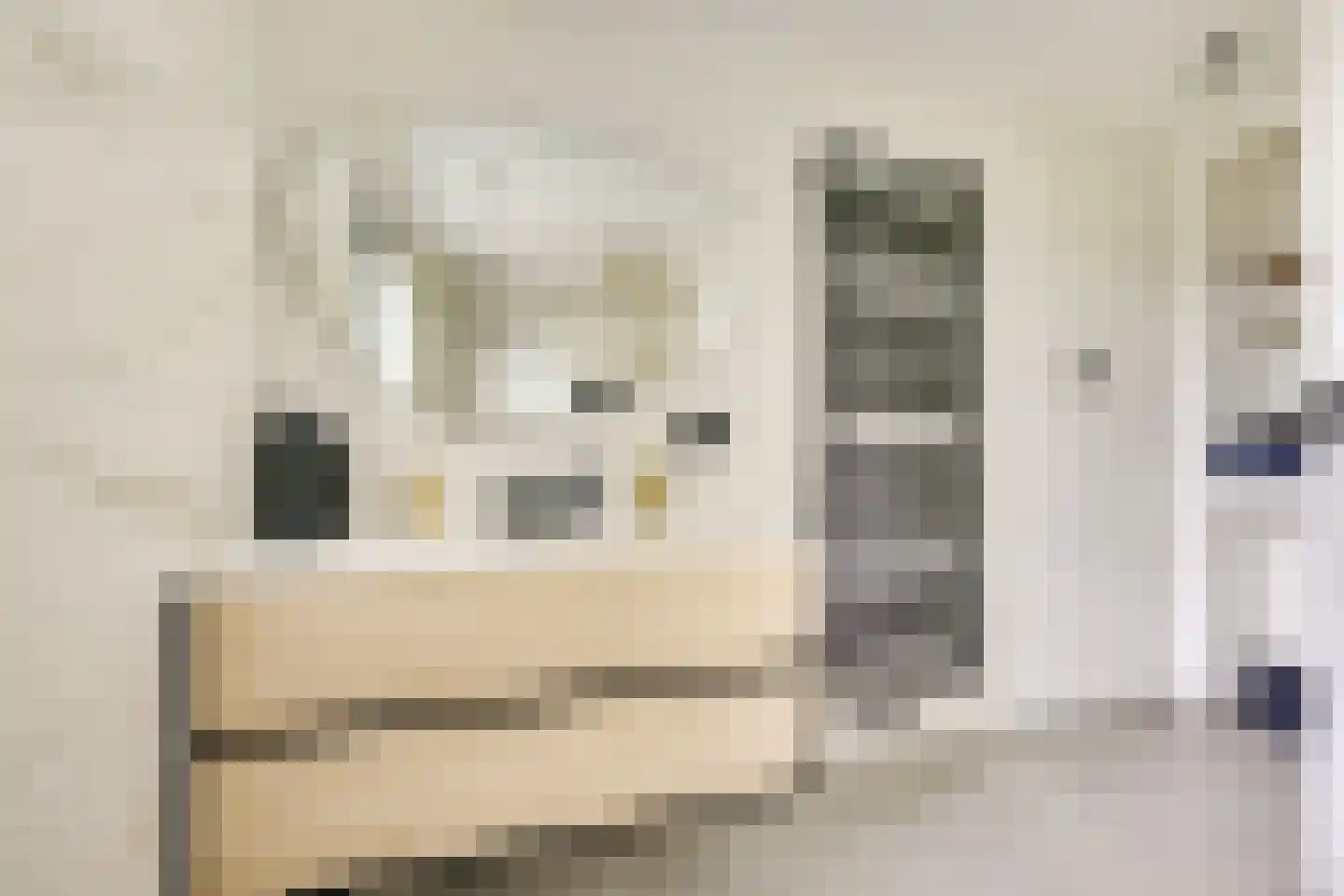 Koningin Julianastraat 24 Houten thumbnail 45