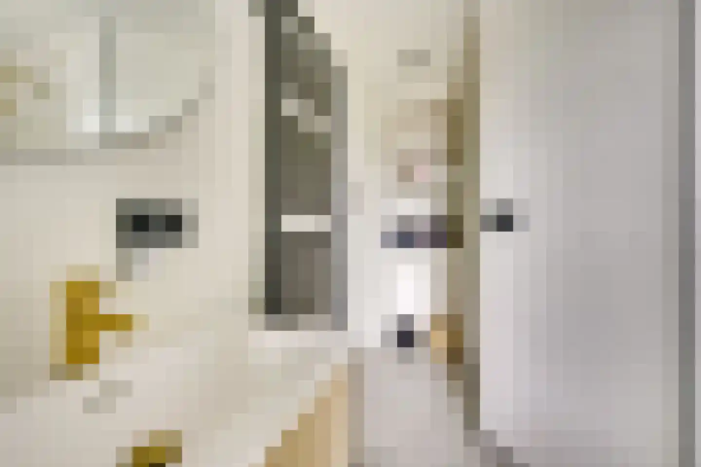Koningin Julianastraat 24 Houten thumbnail 46