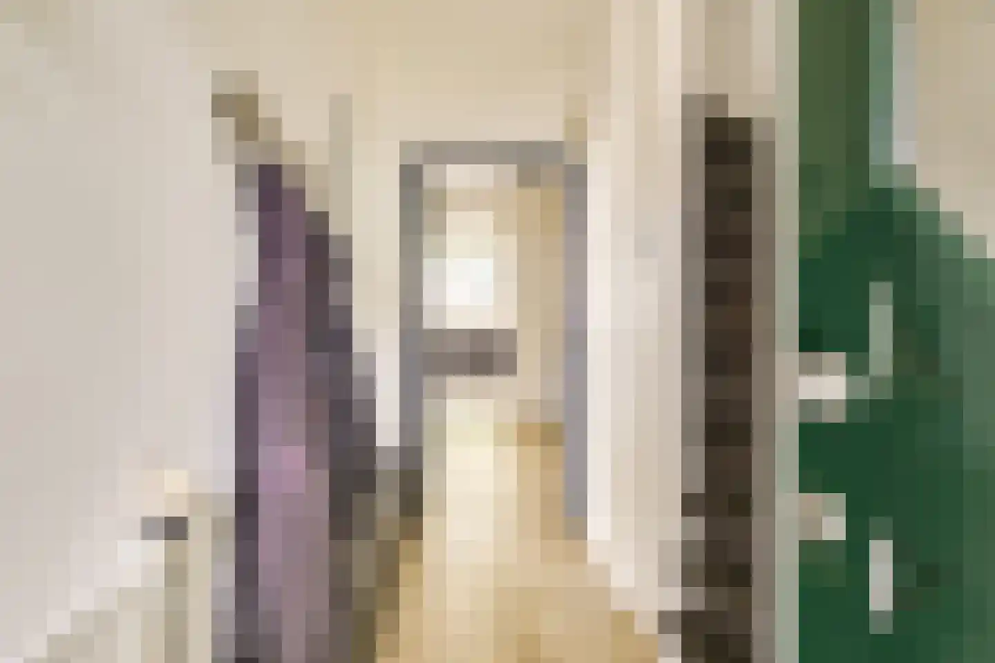 Koningin Julianastraat 24 Houten thumbnail 5