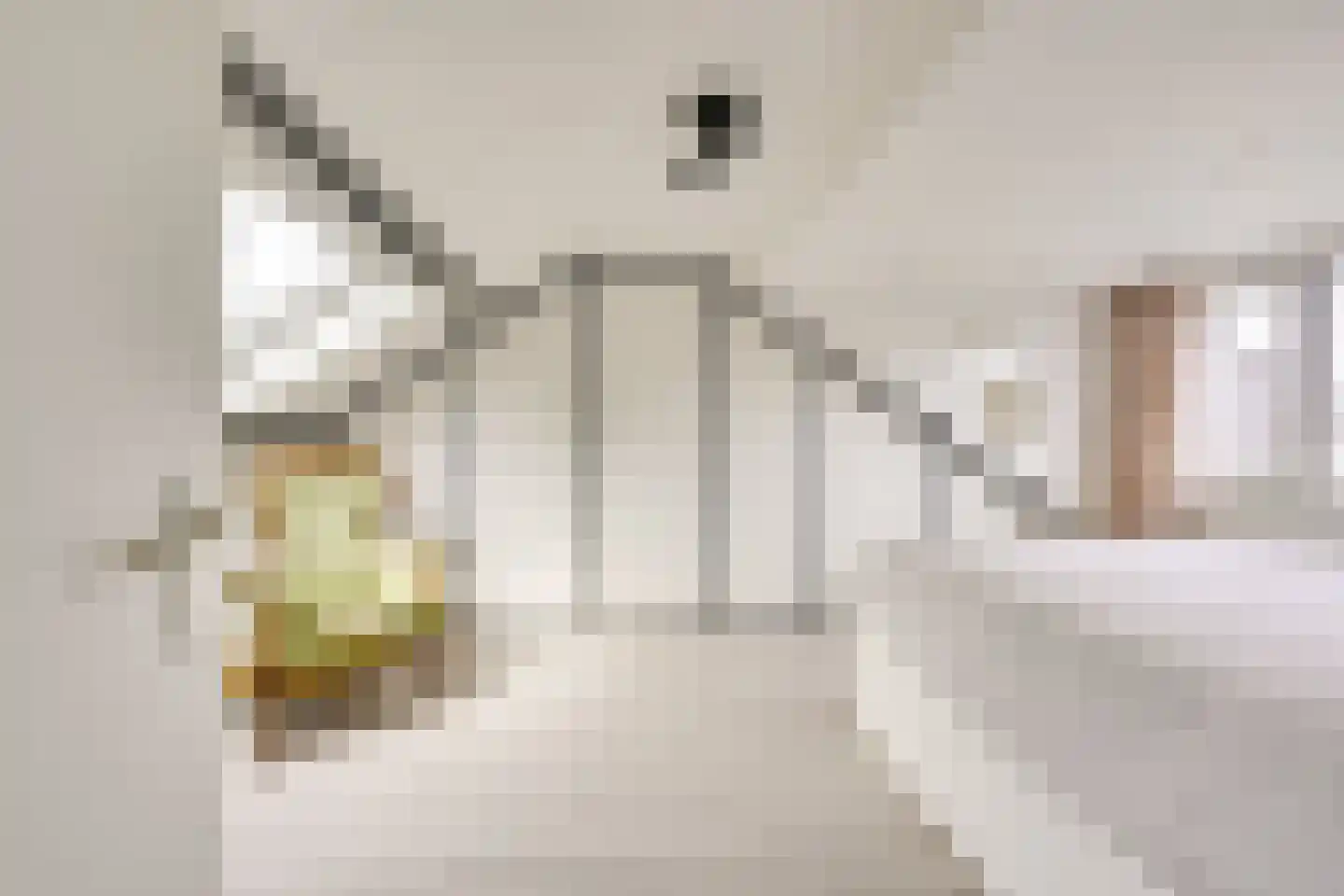 Koningin Julianastraat 24 Houten thumbnail 50