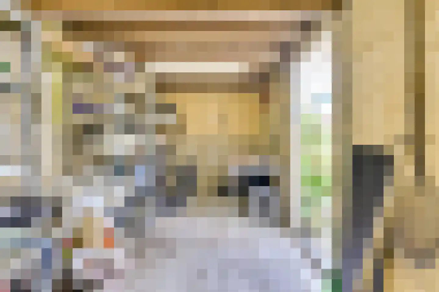 Koningin Julianastraat 24 Houten thumbnail 56