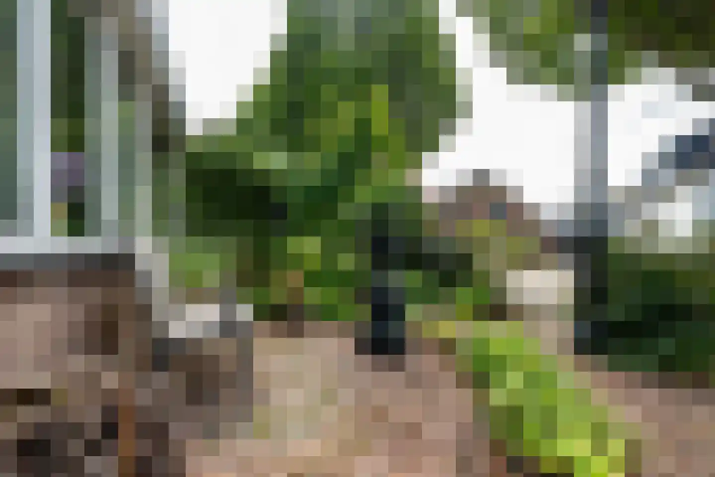 Koningin Julianastraat 24 Houten thumbnail 61