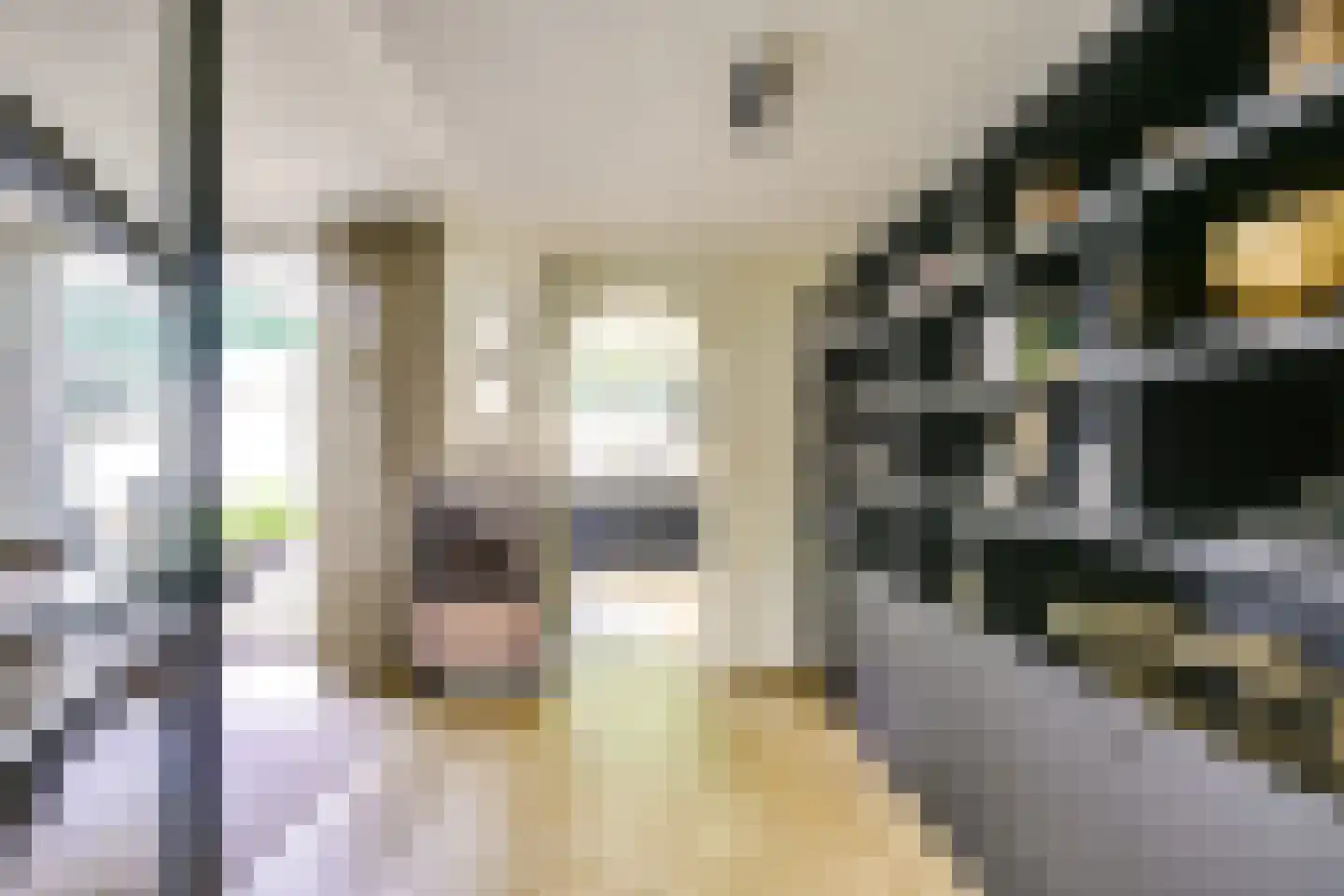 Koningin Julianastraat 24 Houten thumbnail 7