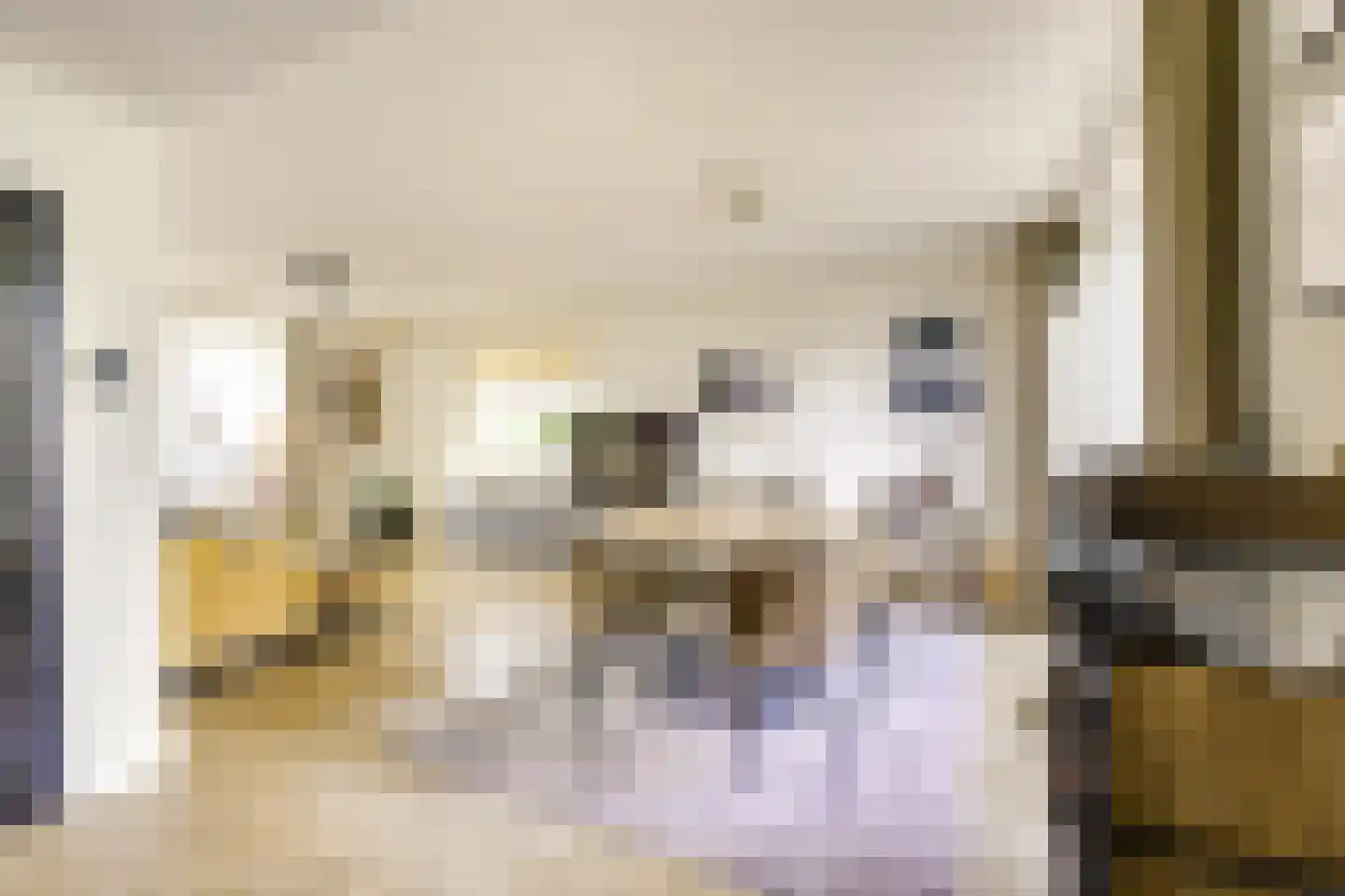 Koningin Julianastraat 24 Houten thumbnail 8