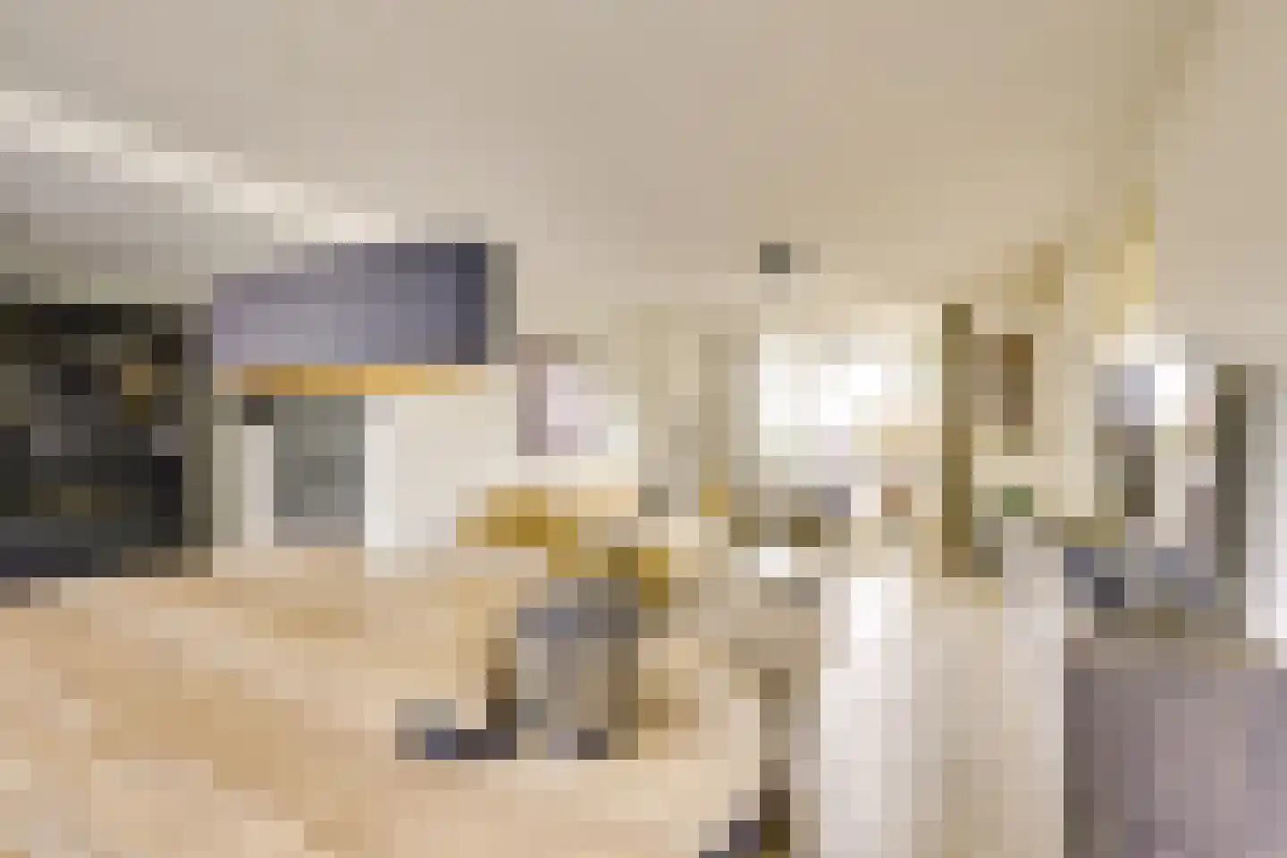 Koningin Julianastraat 24 Houten thumbnail 9