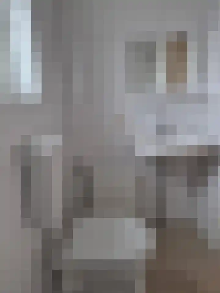 Koningin Julianastraat 25 Bergeijk thumbnail 11