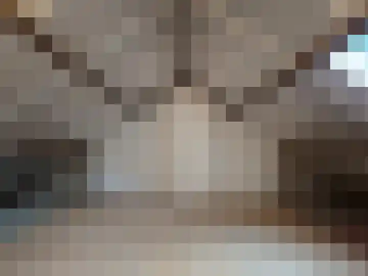 Koningin Julianastraat 25 Bergeijk thumbnail 16