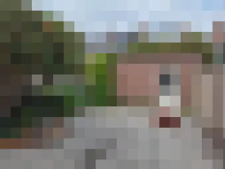 Koningin Julianastraat 25 Bergeijk thumbnail 18