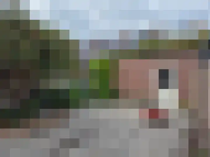 Koningin Julianastraat 25 Bergeijk thumbnail 19