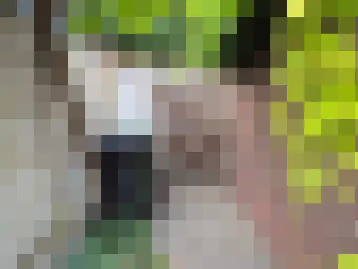 Koningin Julianastraat 25 Bergeijk thumbnail 20