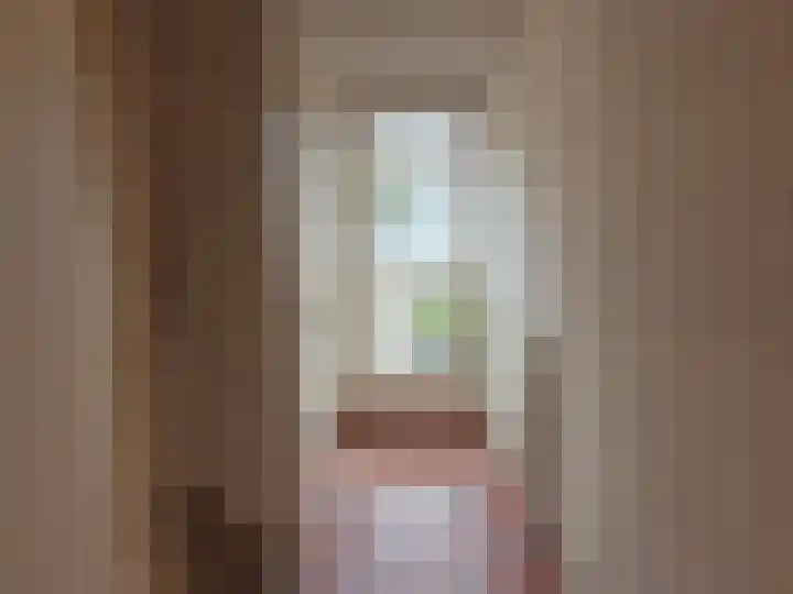Koningin Julianastraat 25 Bergeijk thumbnail 4