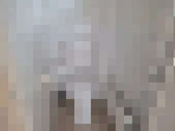 Koningin Julianastraat 25 Bergeijk thumbnail 6