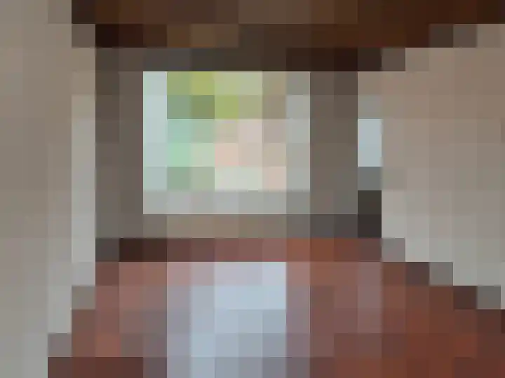 Koningin Julianastraat 25 Bergeijk thumbnail 8