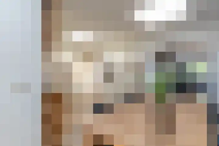 Koningin Julianastraat 26 Silvolde thumbnail 16