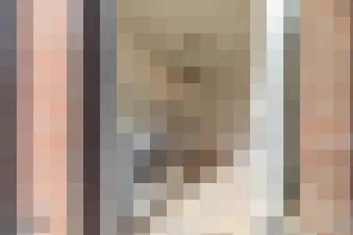 Koningin Julianastraat 26 Silvolde thumbnail 18