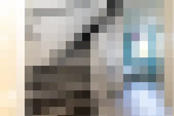 Koningin Julianastraat 26 Silvolde thumbnail 25