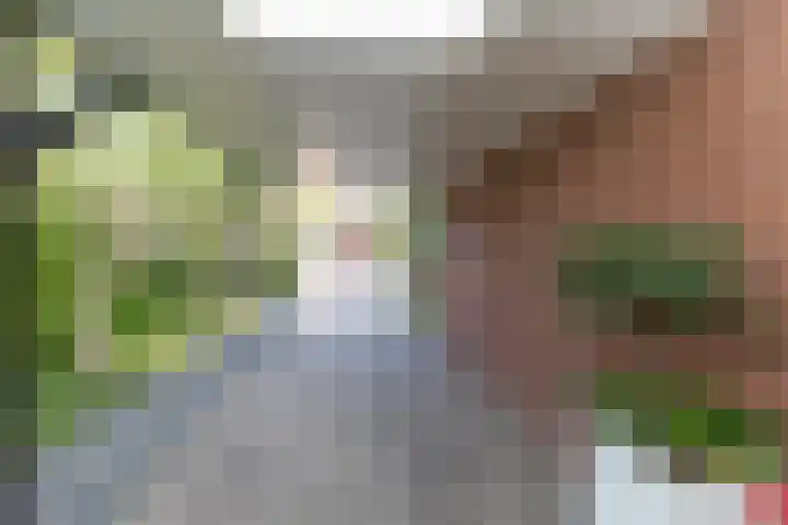 Koningin Julianastraat 26 Silvolde thumbnail 4