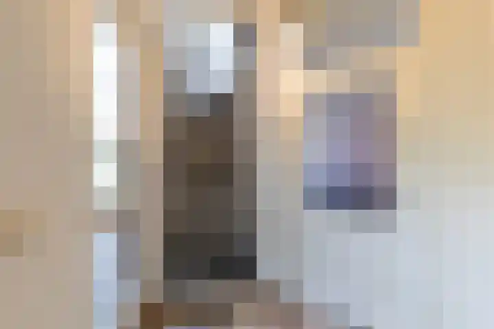 Koningin Julianastraat 26 Silvolde thumbnail 7
