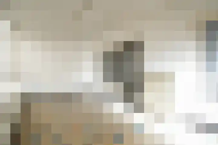 Koningin Julianastraat 28 Gulpen thumbnail 8