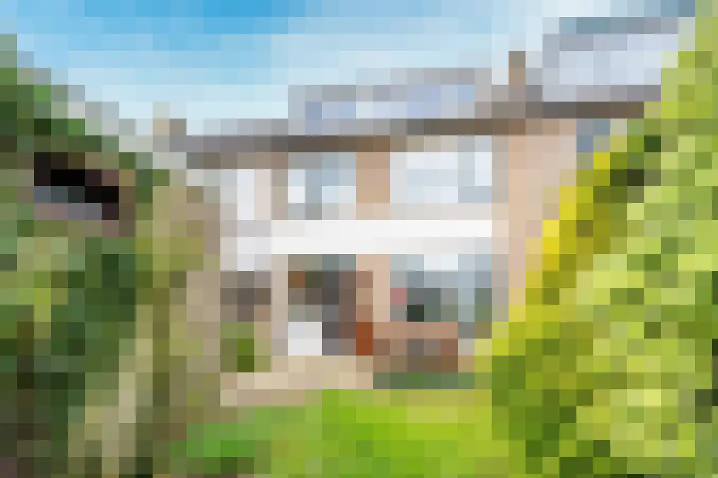 Koningin Julianastraat 28 Houten thumbnail 14