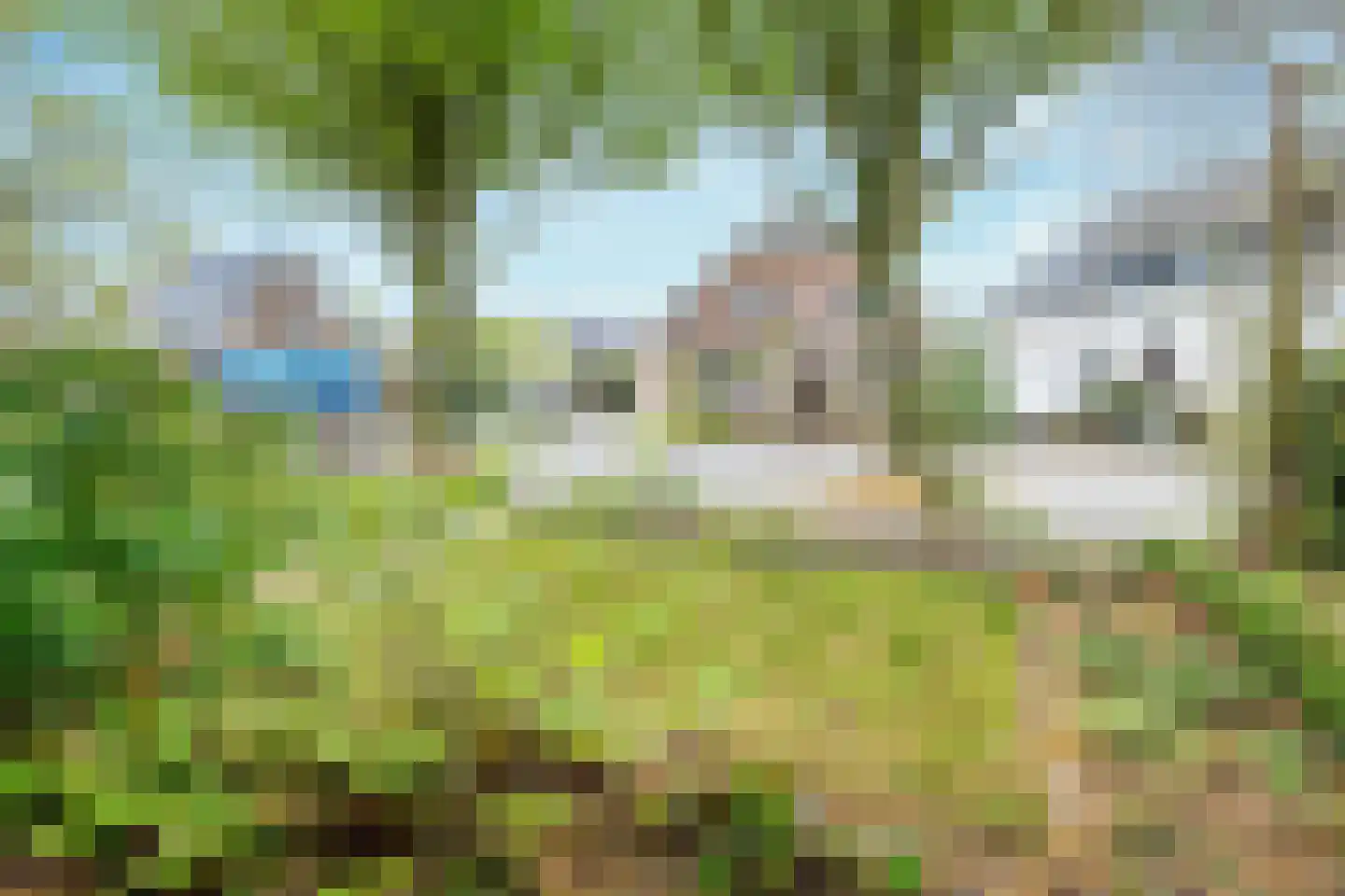 Koningin Julianastraat 28 Houten thumbnail 25